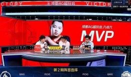 瓶子解说最新爆料,瓶子解说最新爆料，带你一探究竟！